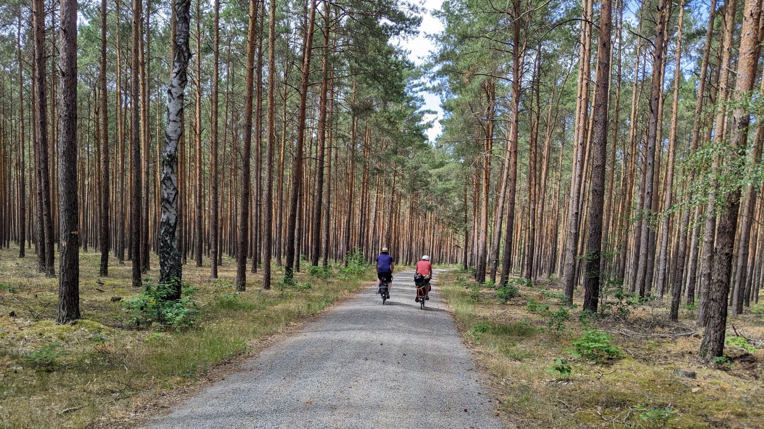 Spreewald juin 2022 en Brompton